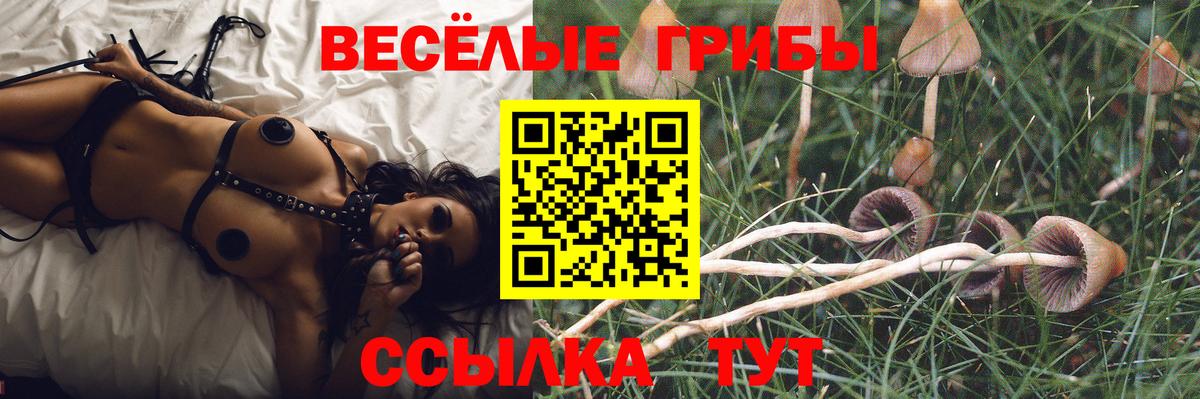 Псилоцибиновые грибы мицелий Звенигород