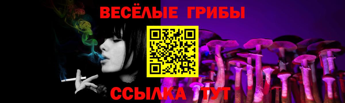 Галлюциногенные грибы Psilocybe  Вход с VPN  Звенигород 